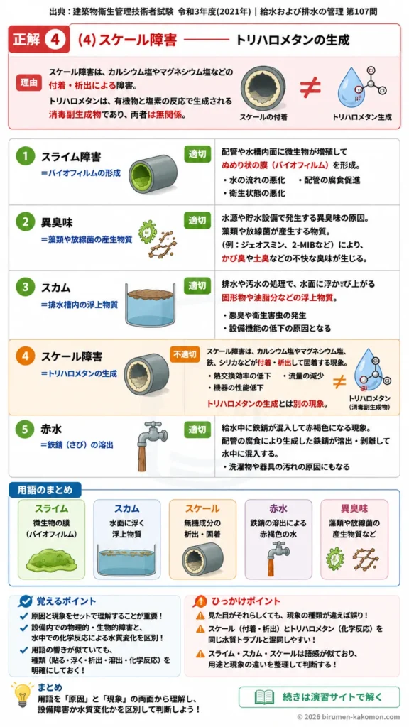 【ビル管過去問】令和3年度　問題107｜給水排水管理の障害用語｜スライム・スカム・スケール・赤水を解説する画像