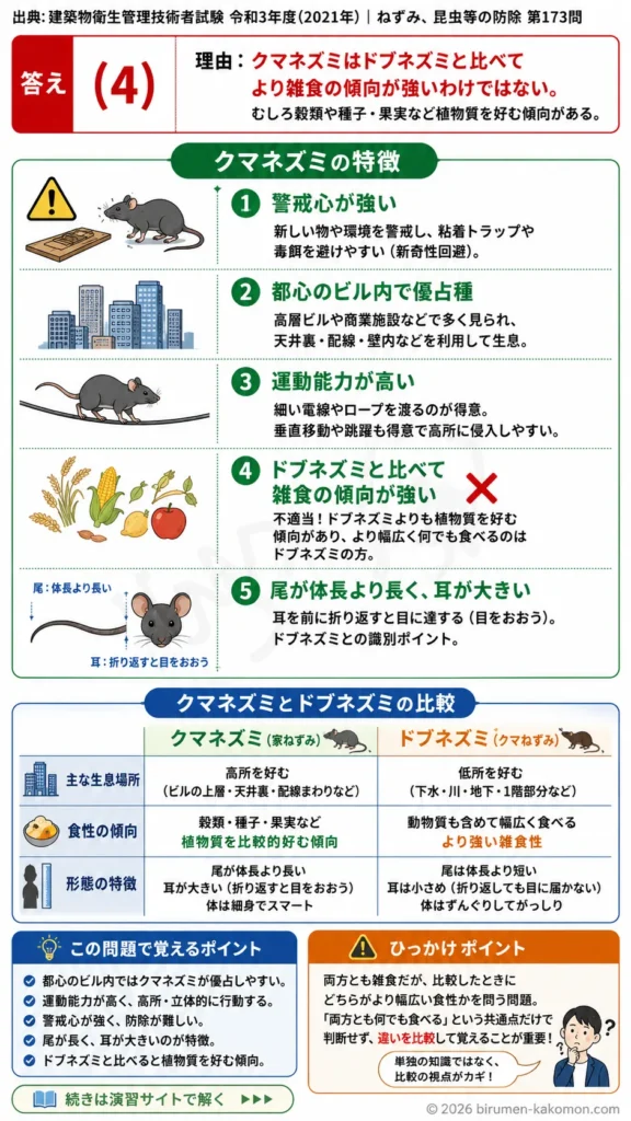 【ビル管過去問】令和3年度　問題173｜クマネズミの生態｜行動特性・識別ポイント・ビル内生息を解説する画像
