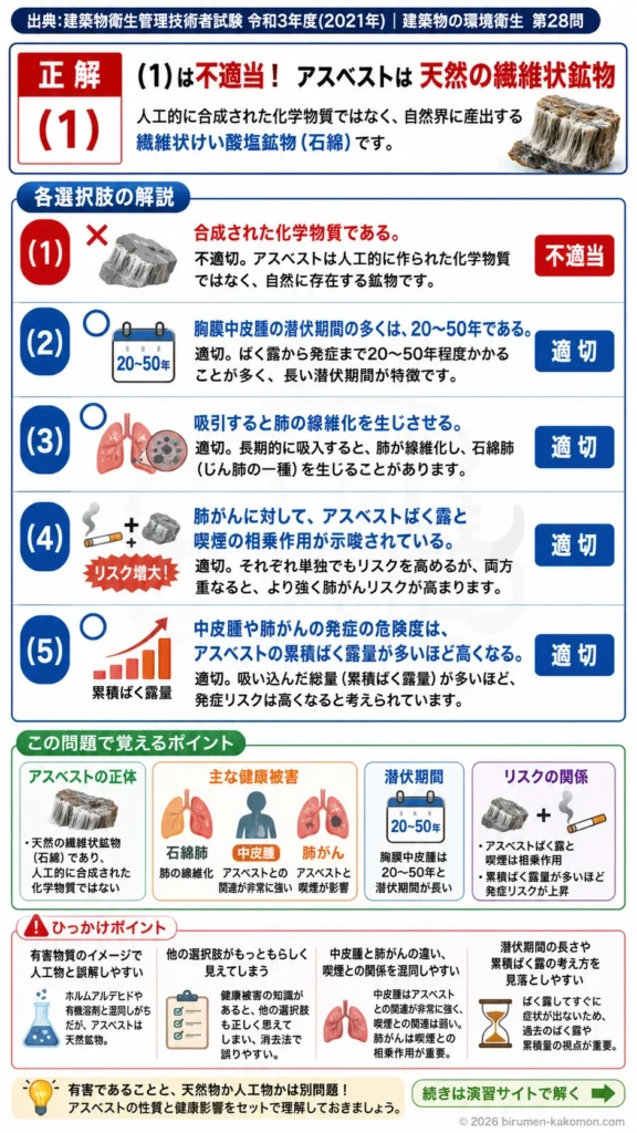 【ビル管過去問】令和3年度　問題28｜アスベスト健康被害｜中皮腫・肺がん・石綿ばく露リスクを解説する画像
