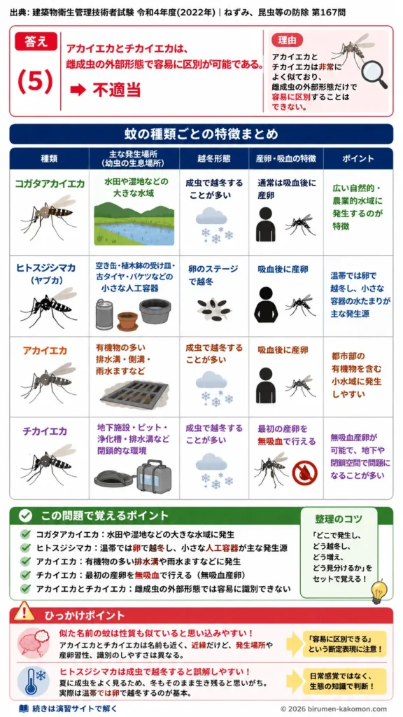 【ビル管過去問】令和4年度　問題167｜蚊の生態 アカイエカ・チカイエカ・ヒトスジシマカの特徴を解説する画像