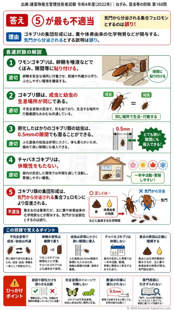 【ビル管過去問】令和4年度　問題168｜ゴキブリの生態 ワモンゴキブリ・チャバネゴキブリの習性を解説する画像