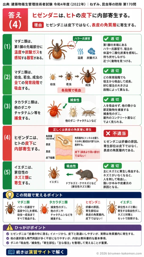 【ビル管過去問】令和4年度　問題170｜ダニの種類と生態 マダニ・ヒゼンダニ・イエダニの特徴を解説する画像