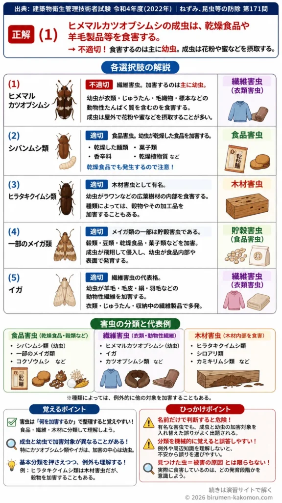 【ビル管過去問】令和4年度　問題171｜害虫の種類 食品害虫・繊維害虫・木材害虫の基礎知識を解説する画像
