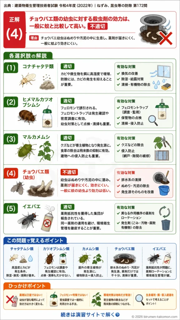 【ビル管過去問】令和4年度　問題172｜害虫防除 チャタテムシ・カメムシ・ハエ類の対策を解説する画像