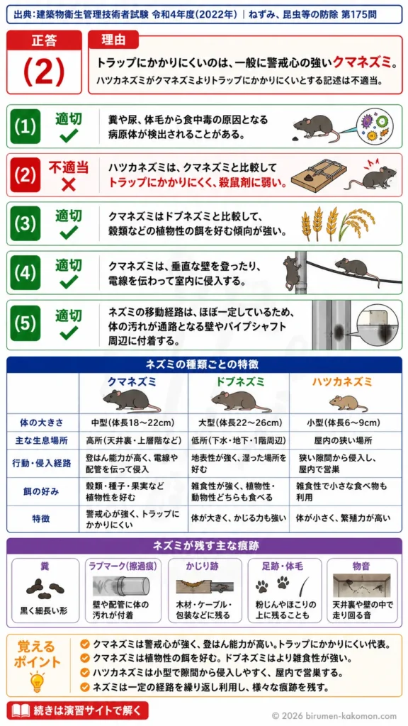 【ビル管過去問】令和4年度　問題175｜ネズミの生態 クマネズミ・ドブネズミ・ハツカネズミの特徴を解説する画像