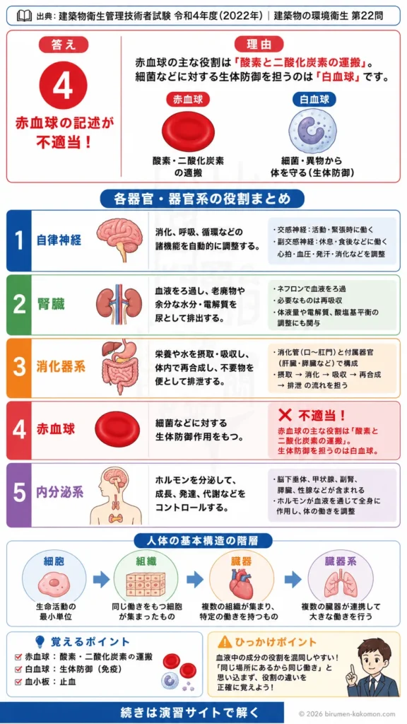 【ビル管過去問】令和4年度　問題22｜人体の構造と機能 細胞・組織・臓器・臓器系の基礎を解説する画像