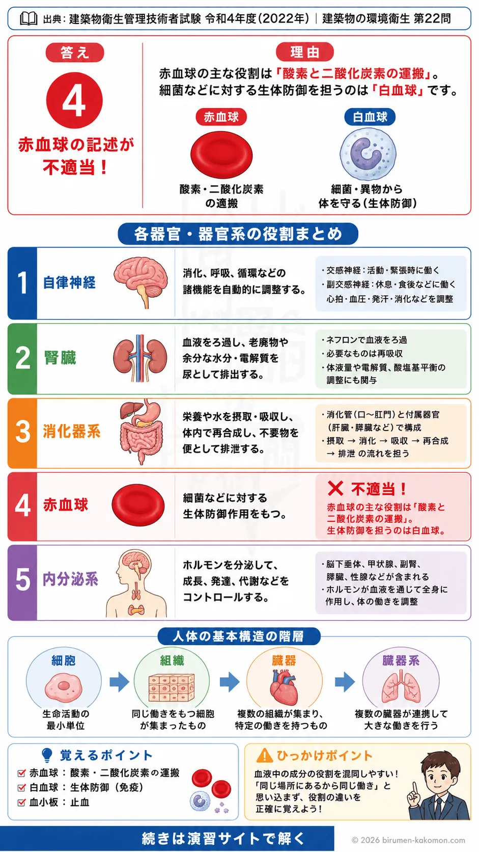 【ビル管過去問】令和4年度　問題22｜人体の構造と機能 細胞・組織・臓器・臓器系の基礎を解説する画像