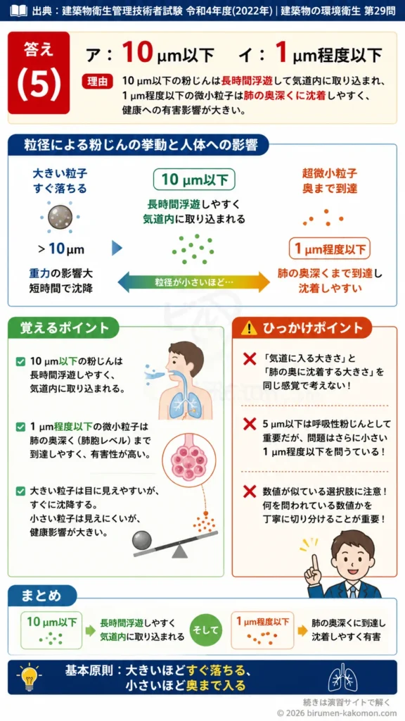 【ビル管過去問】令和4年度　問題29｜浮遊粉じん 粒径と呼吸器への影響を解説する画像
