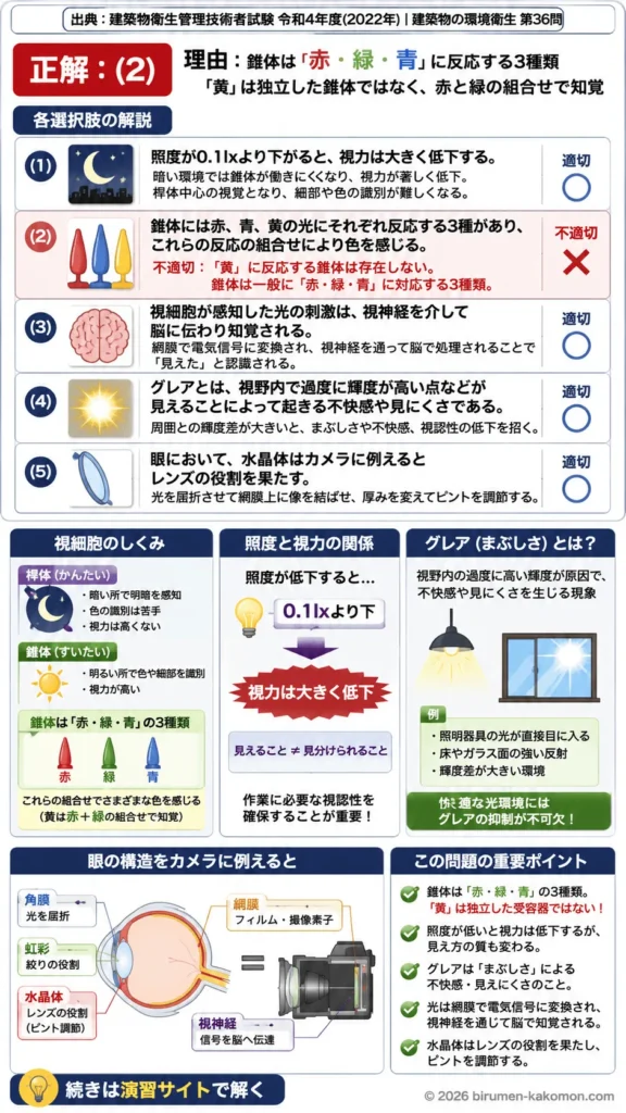 【ビル管過去問】令和4年度　問題36｜眼の構造と光環境 視覚の仕組み・グレア・照度を解説する画像