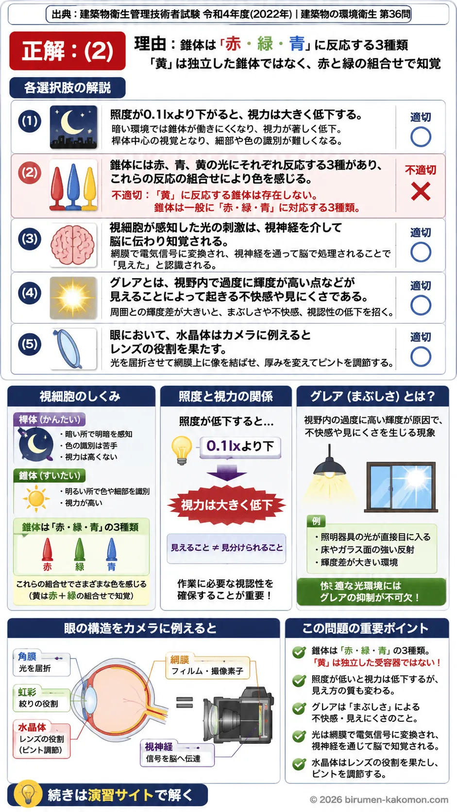 【ビル管過去問】令和4年度　問題36｜眼の構造と光環境 視覚の仕組み・グレア・照度を解説する画像