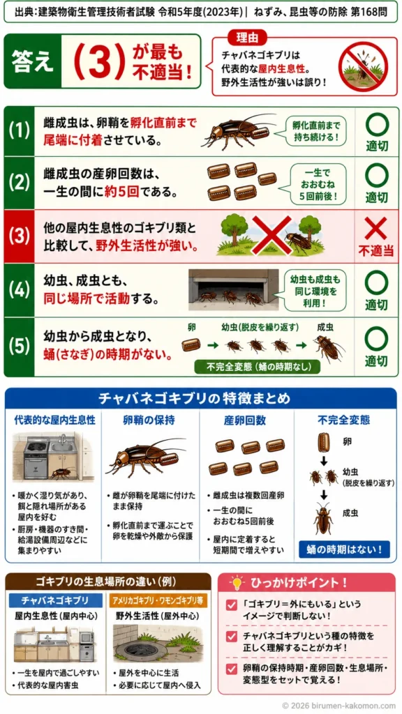 【ビル管過去問】令和5年度　問題168｜チャバネゴキブリ｜卵鞘・産卵回数・生態・不完全変態を解説する画像
