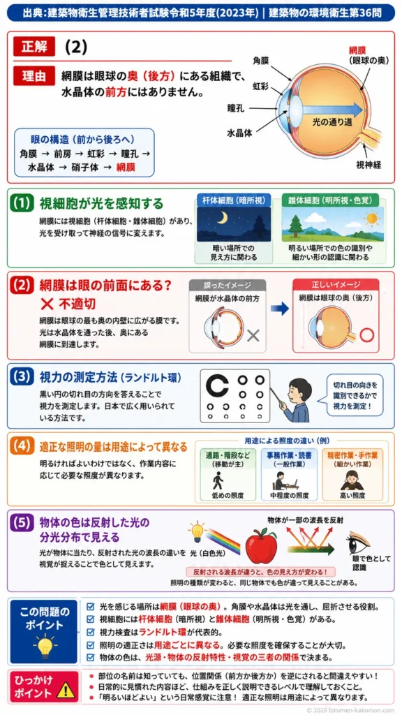 【ビル管過去問】令和5年度　問題36｜視覚と照明｜眼の構造（網膜）・光の知覚・照度基準を解説する画像
