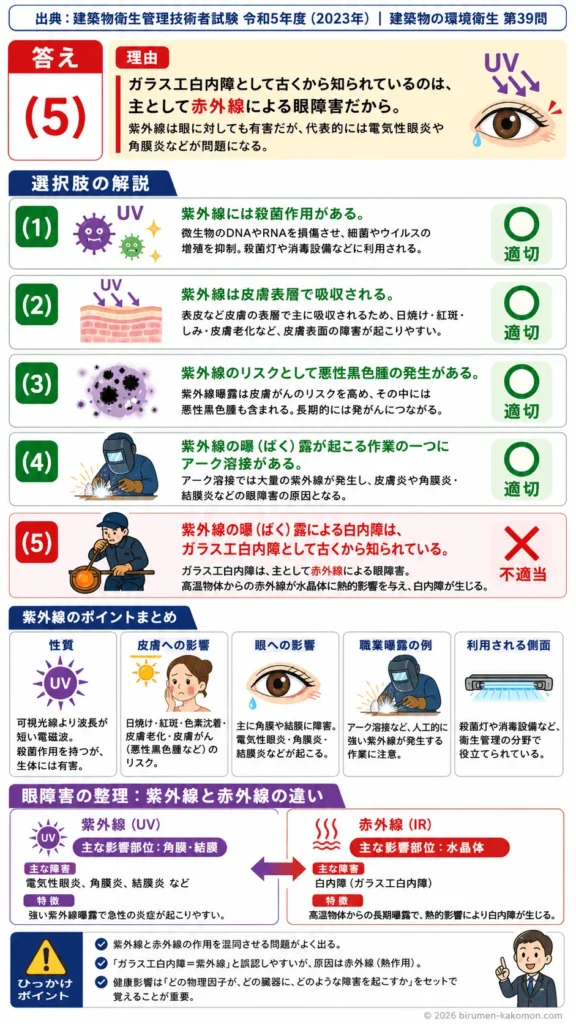 【ビル管過去問】令和5年度　問題39｜紫外線｜健康影響（皮膚・眼）・殺菌作用・曝露リスクを解説する画像