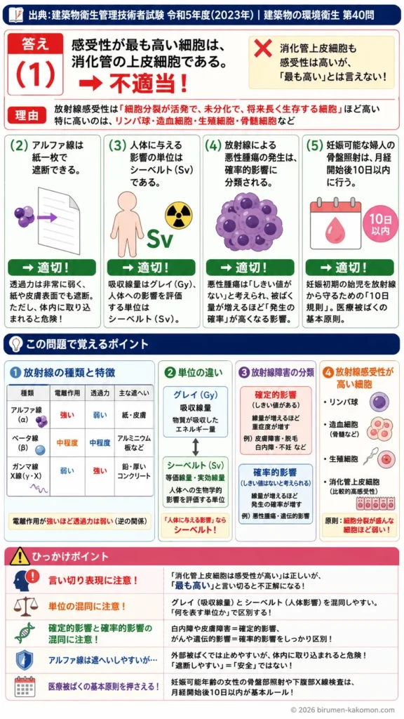【ビル管過去問】令和5年度　問題40｜電離放射線｜人体影響・確率的影響・防護基礎を解説する画像