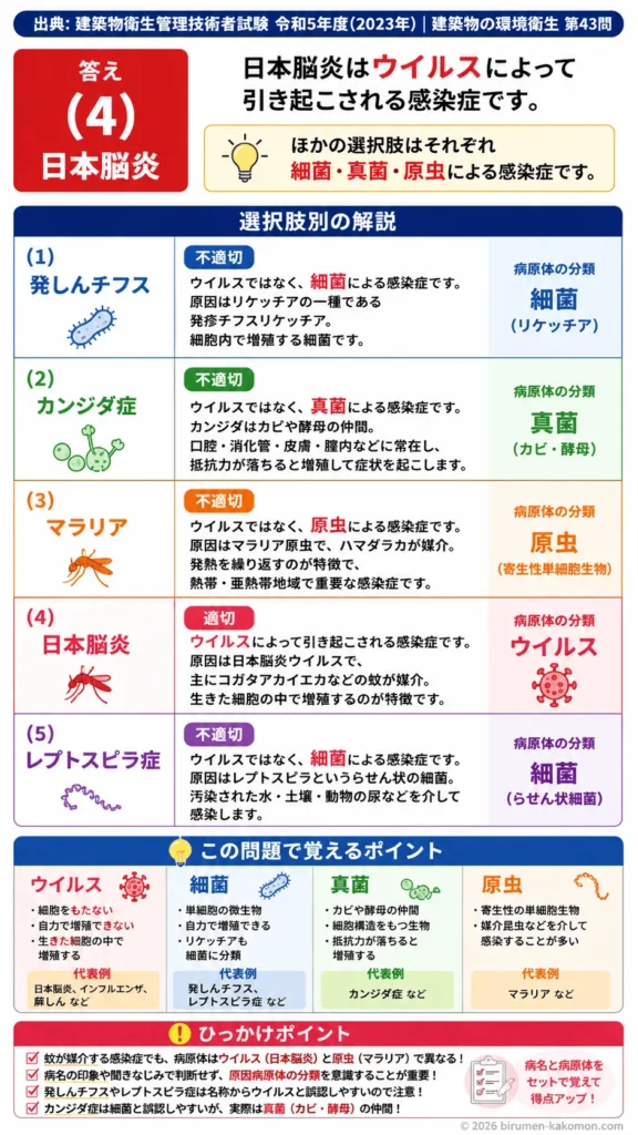 【ビル管過去問】令和5年度　問題43｜感染症の分類｜ウイルス・細菌・真菌・原虫による感染症の違いを解説する画像