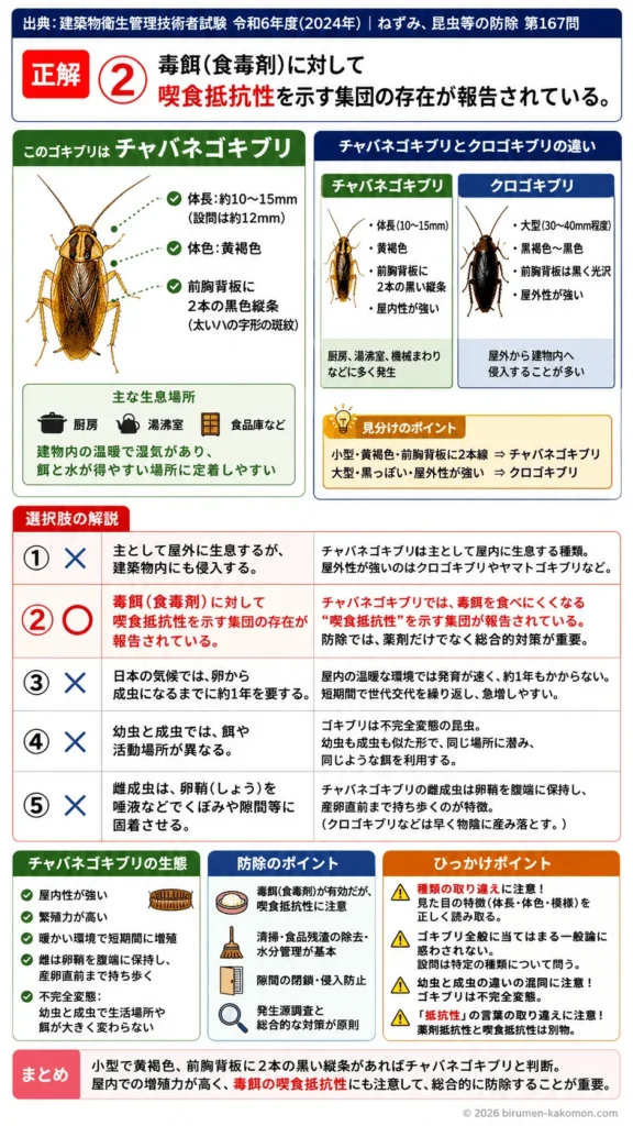 【ビル管過去問】令和6年度　問題167｜ゴキブリの種類と生態（建物内害虫）を解説