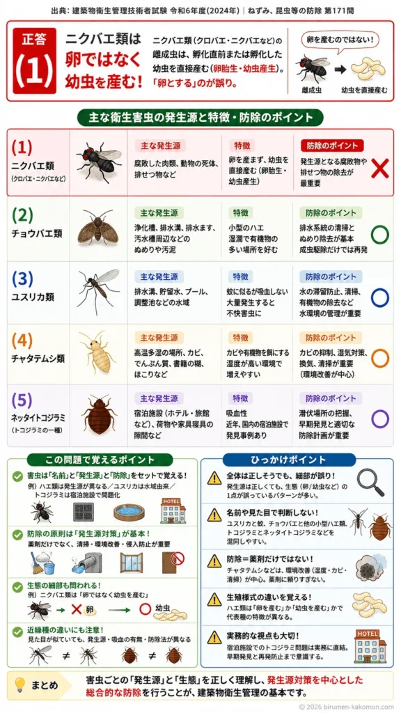 【ビル管過去問】令和6年度　問題171｜衛生害虫の種類と生態（ハエ類など）を解説