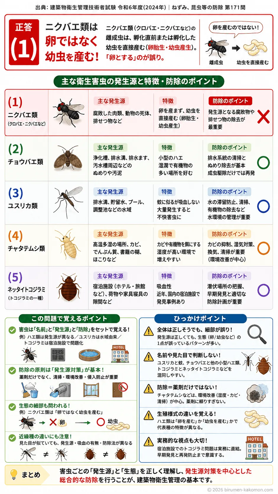 【ビル管過去問】令和6年度　問題171｜衛生害虫の種類と生態（ハエ類など）を解説