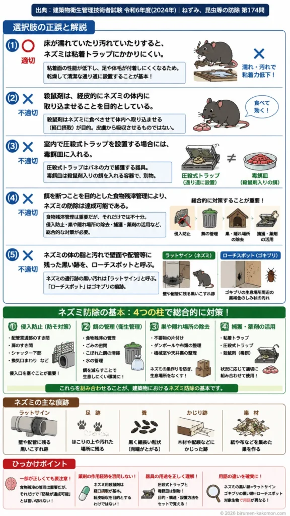 【ビル管過去問】令和6年度　問題174｜ネズミの生態と建物内侵入対策を解説