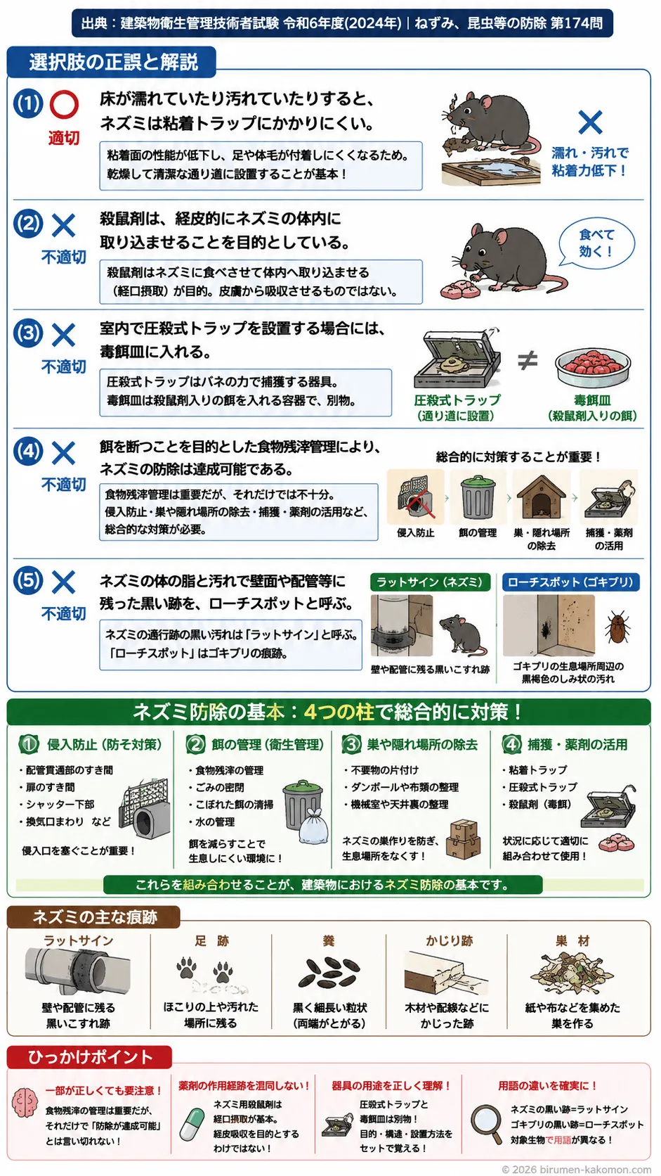 【ビル管過去問】令和6年度　問題174｜ネズミの生態と建物内侵入対策を解説