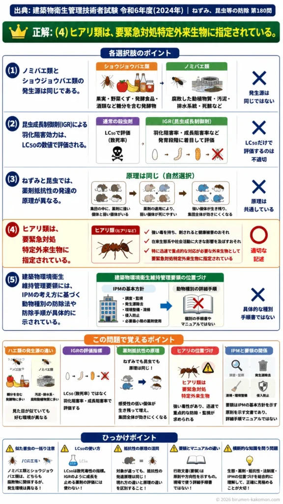 【ビル管過去問】令和6年度　問題180｜建築物内害虫の種類と発生環境（ノミバエなど）を解説