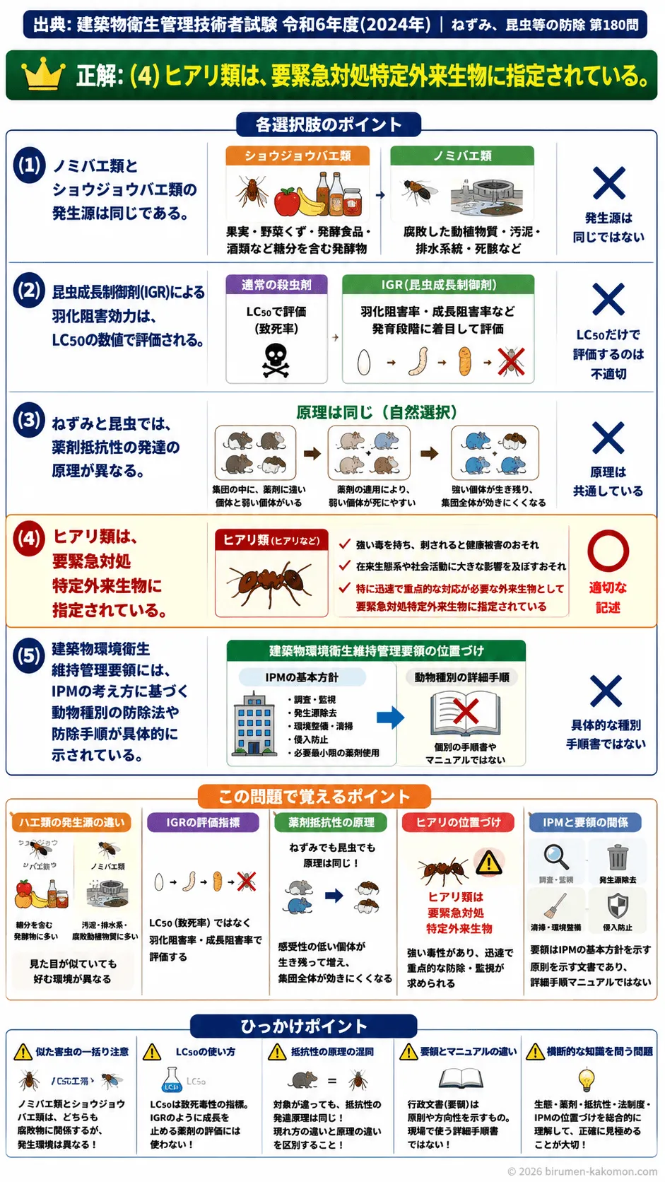 【ビル管過去問】令和6年度　問題180｜建築物内害虫の種類と発生環境（ノミバエなど）を解説