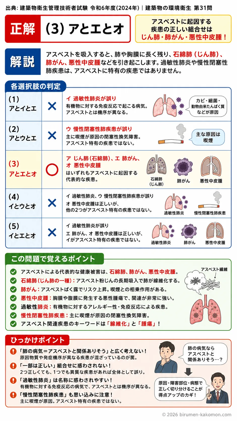 【ビル管過去問】令和6年度　問題31｜アスベストによる健康被害（石綿肺中皮腫肺がん）を解説