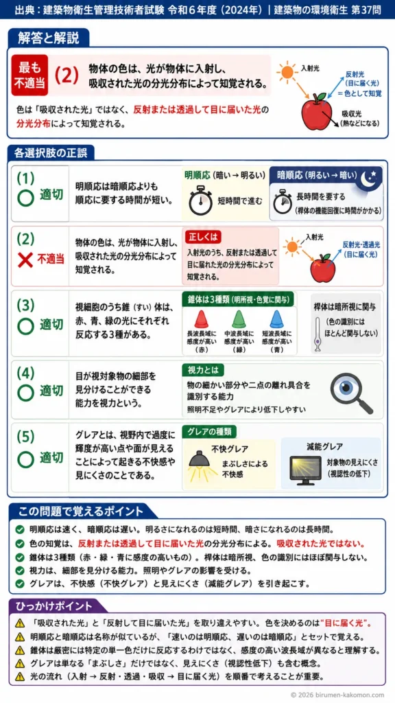 【ビル管過去問】令和6年度　問題37｜光環境と視覚（明順応暗順応照明環境）を解説