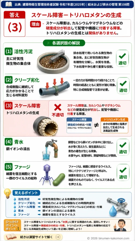 【ビル管過去問】令和7年度　問題108｜給水排水用語を解説する画像
