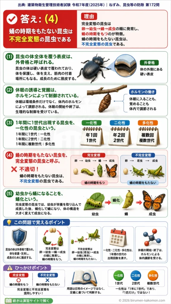 【ビル管過去問】令和7年度　問題172｜昆虫の体構造と生活史を解説する画像