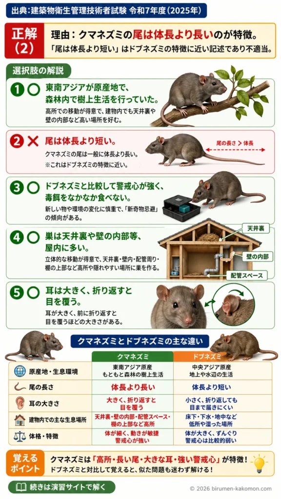 【ビル管過去問】令和7年度　問題175｜クマネズミの生態を解説する画像