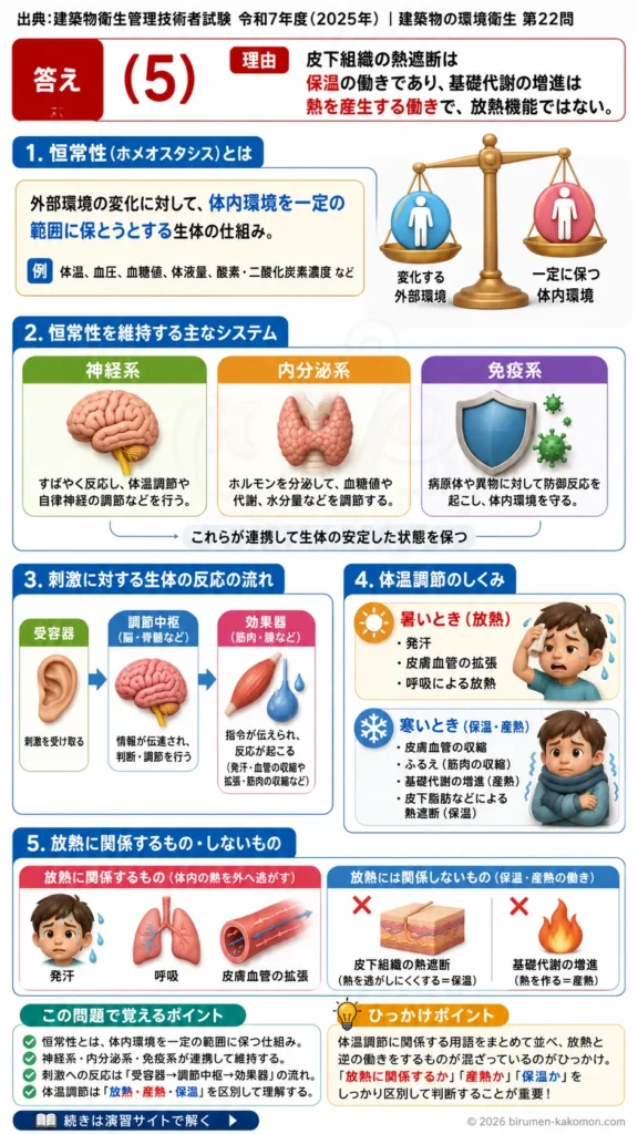 【ビル管過去問】令和7年度　問題22｜生体の恒常性(ホメオスタシス)を解説する画像