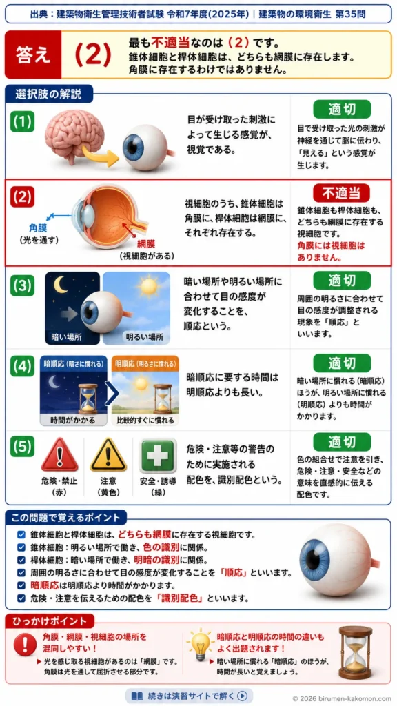 【ビル管過去問】令和7年度　問題35｜光・色彩と視覚の仕組みを解説する画像