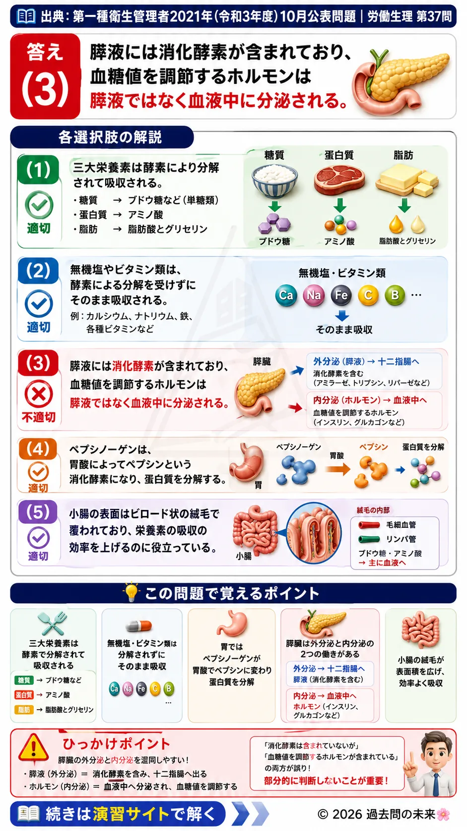 【第一種衛生管理者過去問】2021年10月公表問題｜問37｜消化器系の消化酵素と栄養素の吸収メカニズム｜労働生理を解説する画像__1syu-2021-10-seiri-q37