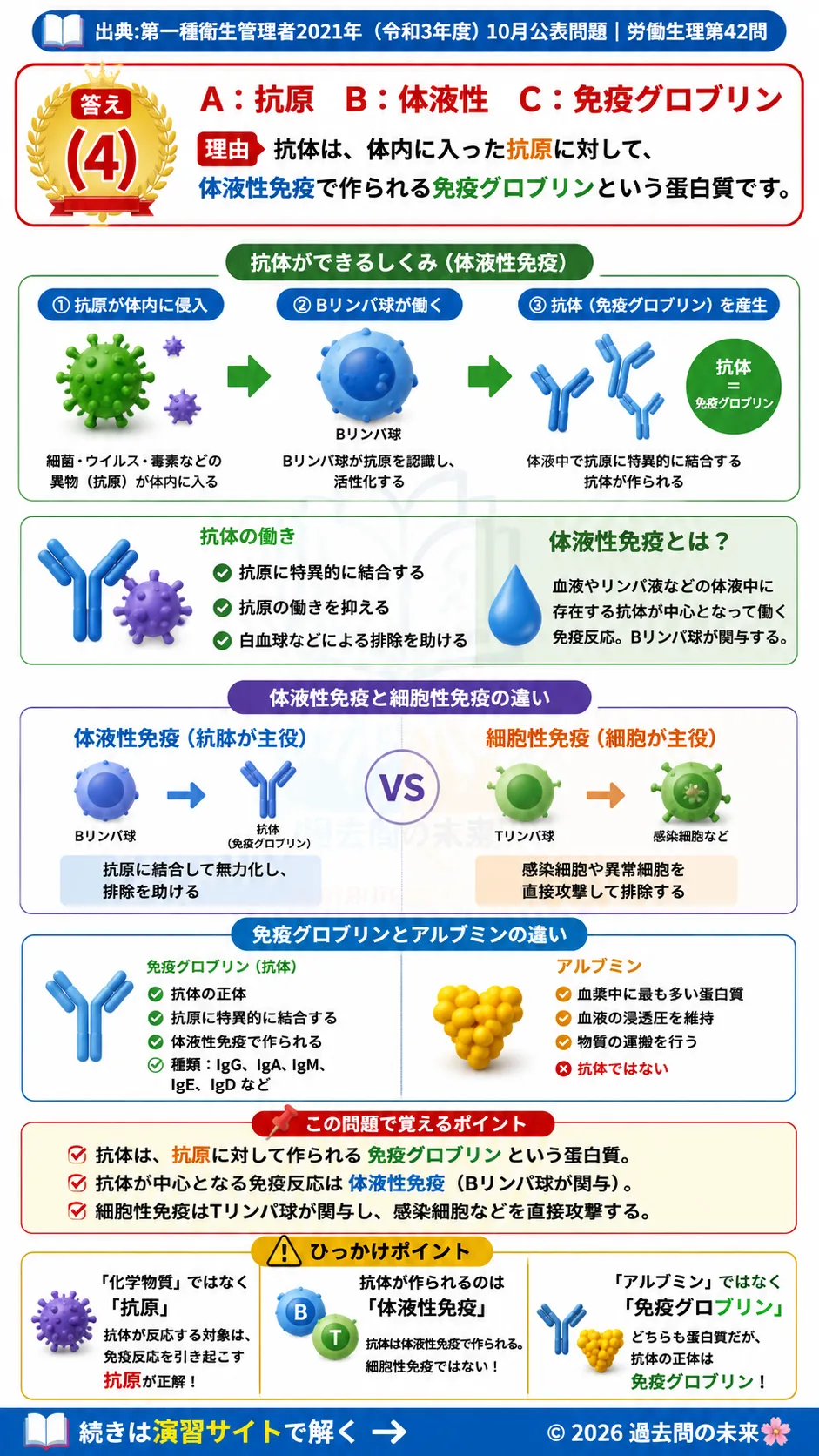 【第一種衛生管理者過去問】2021年10月公表問題｜問42｜抗体と免疫グロブリン・体液性免疫の基礎知識｜労働生理を解説する画像__1syu-2021-10-seiri-q42