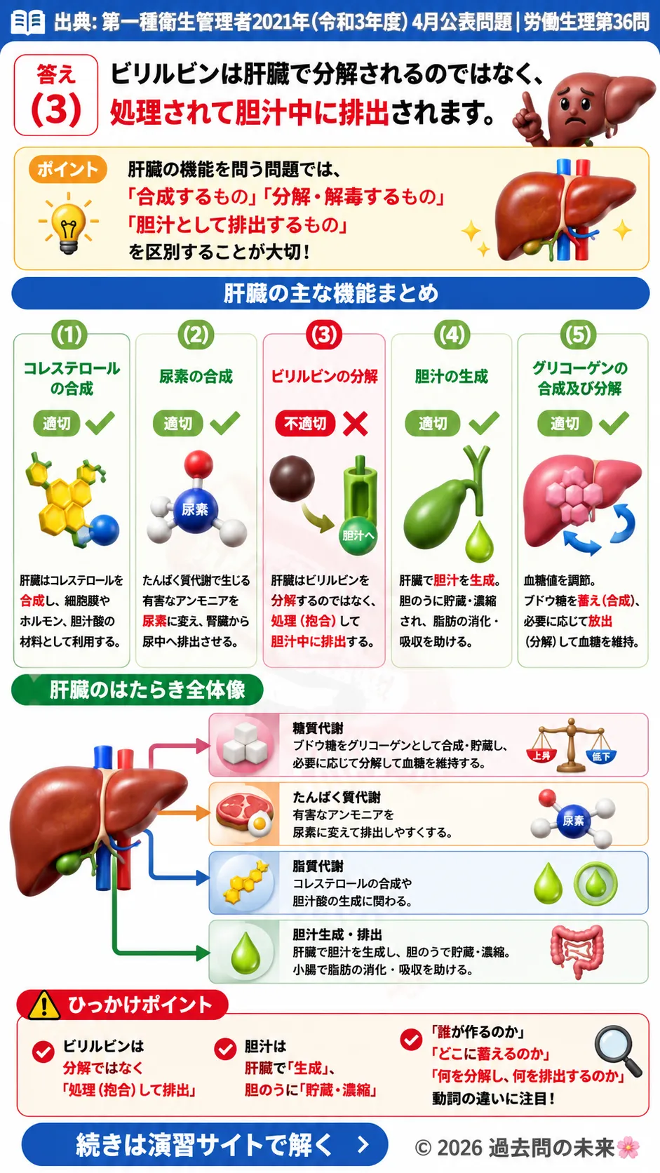【第一種衛生管理者過去問】2021年4月公表問題｜問36｜肝臓の機能と代謝・胆汁生成・解毒作用｜労働生理を解説する画像__1syu-2021-04-seiri-q36