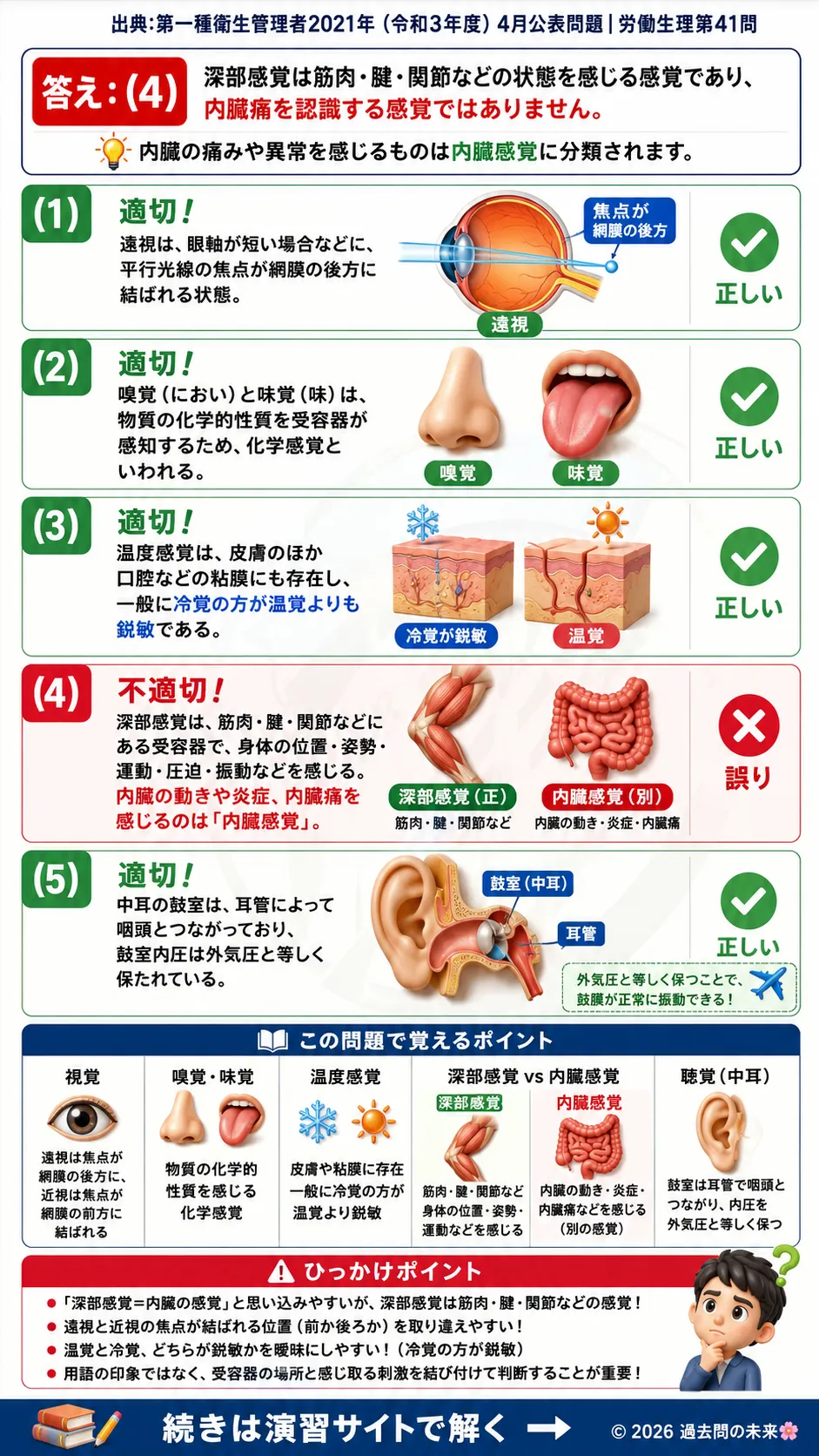【第一種衛生管理者過去問】2021年4月公表問題｜問41｜感覚器の仕組み・視覚・聴覚・深部感覚の基礎知識｜労働生理を解説する画像__1syu-2021-04-seiri-q41