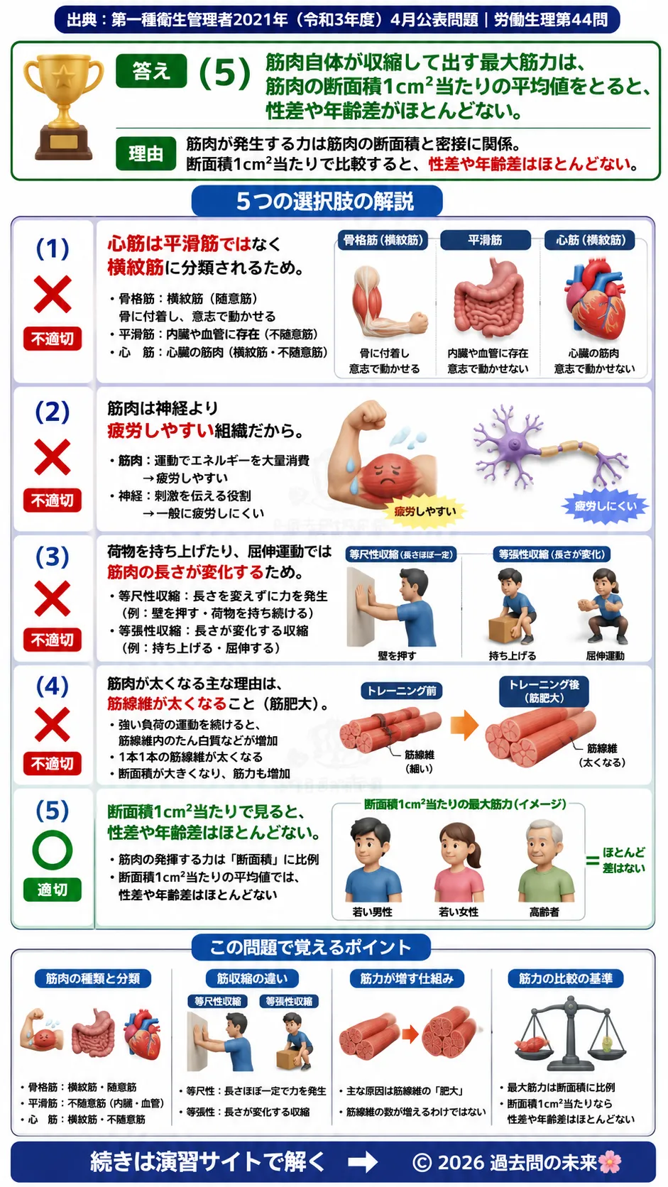 【第一種衛生管理者過去問】2021年4月公表問題｜問44｜筋肉の種類・筋収縮・筋力発生の仕組み｜労働生理を解説する画像__1syu-2021-04-seiri-q44