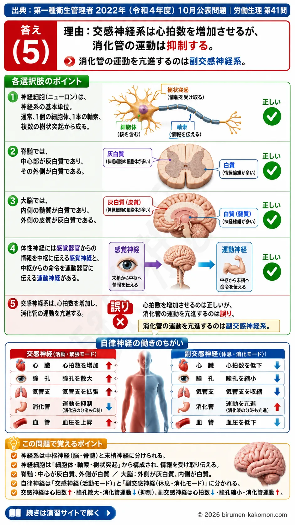 【第一種衛生管理者過去問】2022年10月公表問題｜問41｜神経系の構造と交感神経・副交感神経の働き｜労働生理を解説する画像__1syu-2022-10-seiri-q41