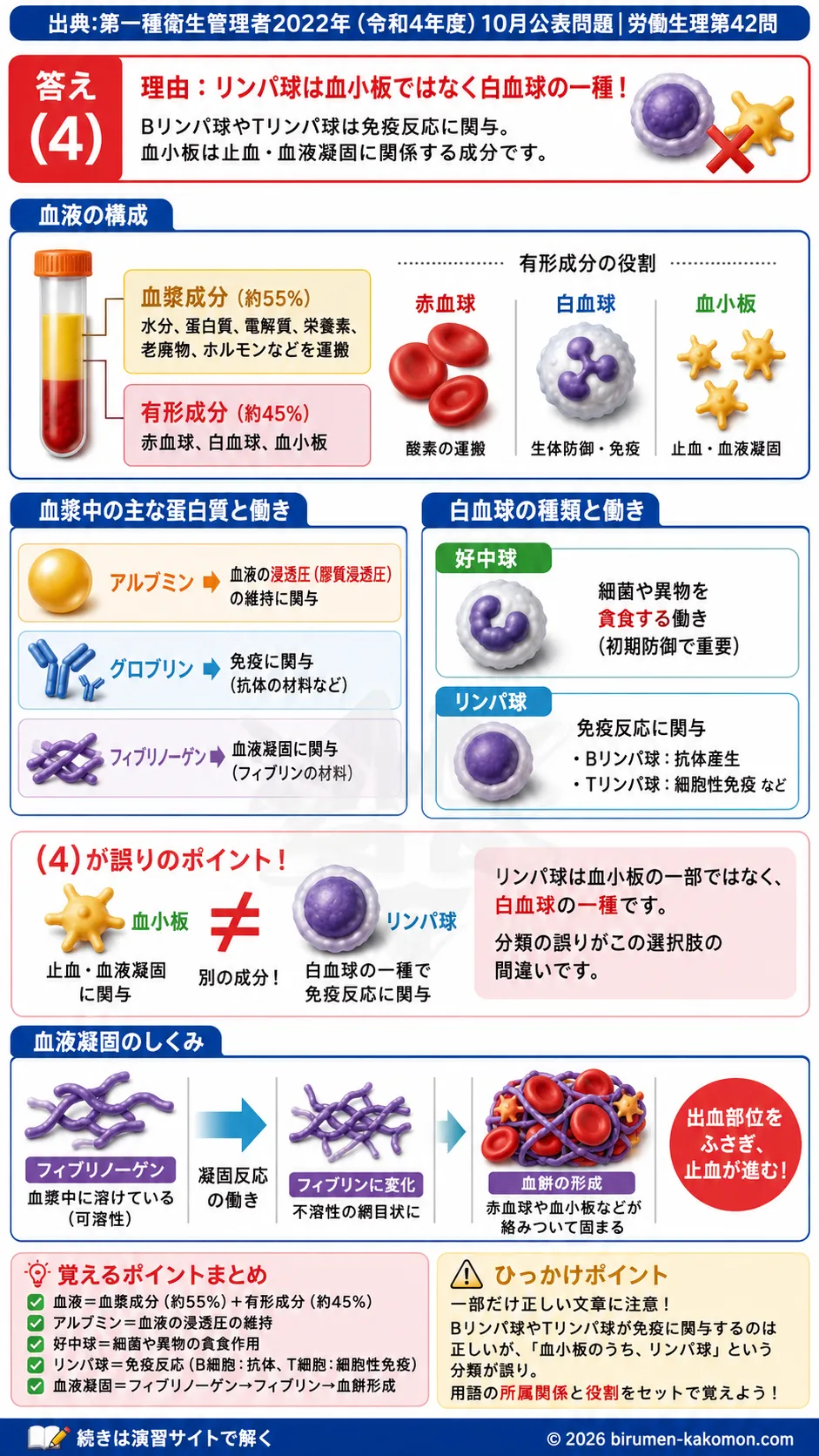 【第一種衛生管理者過去問】2022年10月公表問題｜問42｜血液の成分と白血球・血液凝固の仕組み｜労働生理を解説する画像__1syu-2022-10-seiri-q42