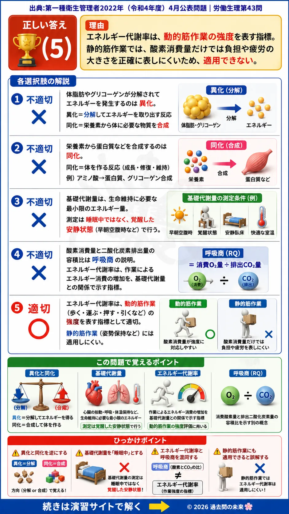 【第一種衛生管理者過去問】2022年4月公表問題｜問43｜代謝の仕組み・基礎代謝量・エネルギー代謝率｜労働生理を解説する画像__1syu-2022-04-seiri-q43