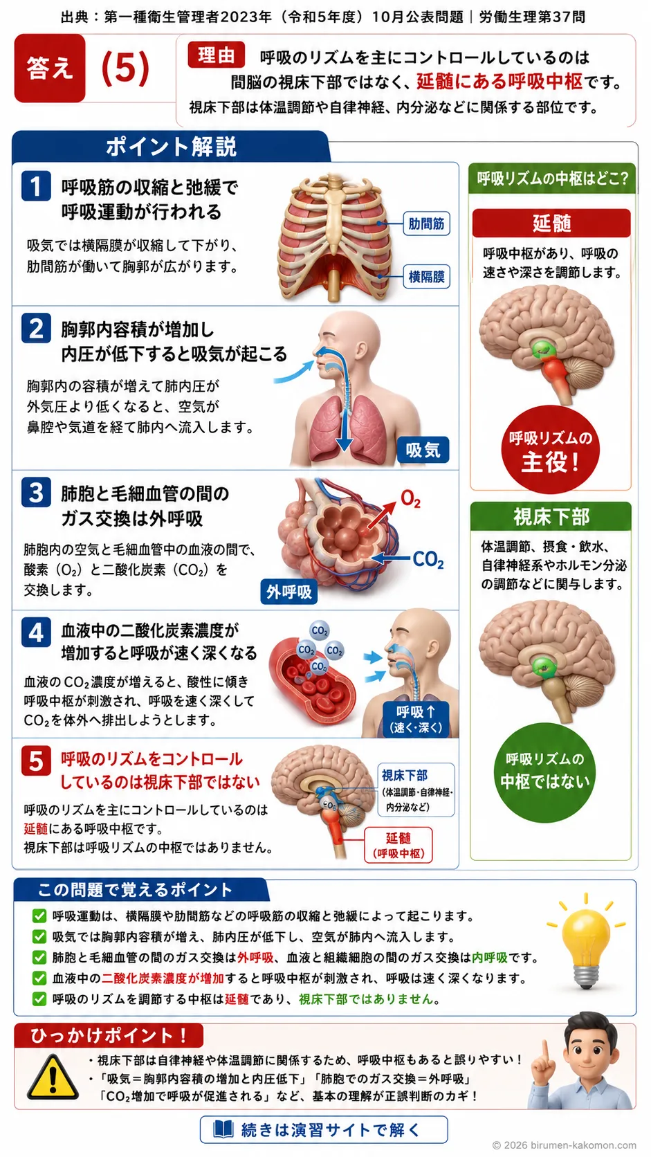 【第一種衛生管理者過去問】2023年10月公表問題｜問37｜呼吸の仕組みと呼吸中枢の役割｜労働生理を解説する画像__1syu-2023-10-seiri-q37