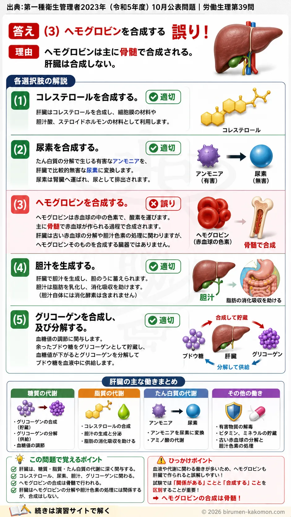 【第一種衛生管理者過去問】2023年10月公表問題｜問39｜肝臓の働きと代謝機能の基礎知識｜労働生理を解説する画像__1syu-2023-10-seiri-q39