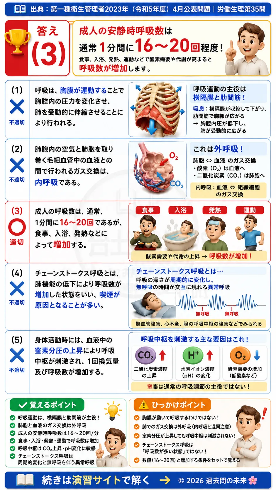 【第一種衛生管理者過去問】2023年4月公表問題｜問35｜呼吸の仕組み・呼吸数・肺胞ガス交換の基礎知識｜労働生理を解説する画像__1syu-2023-04-seiri-q35