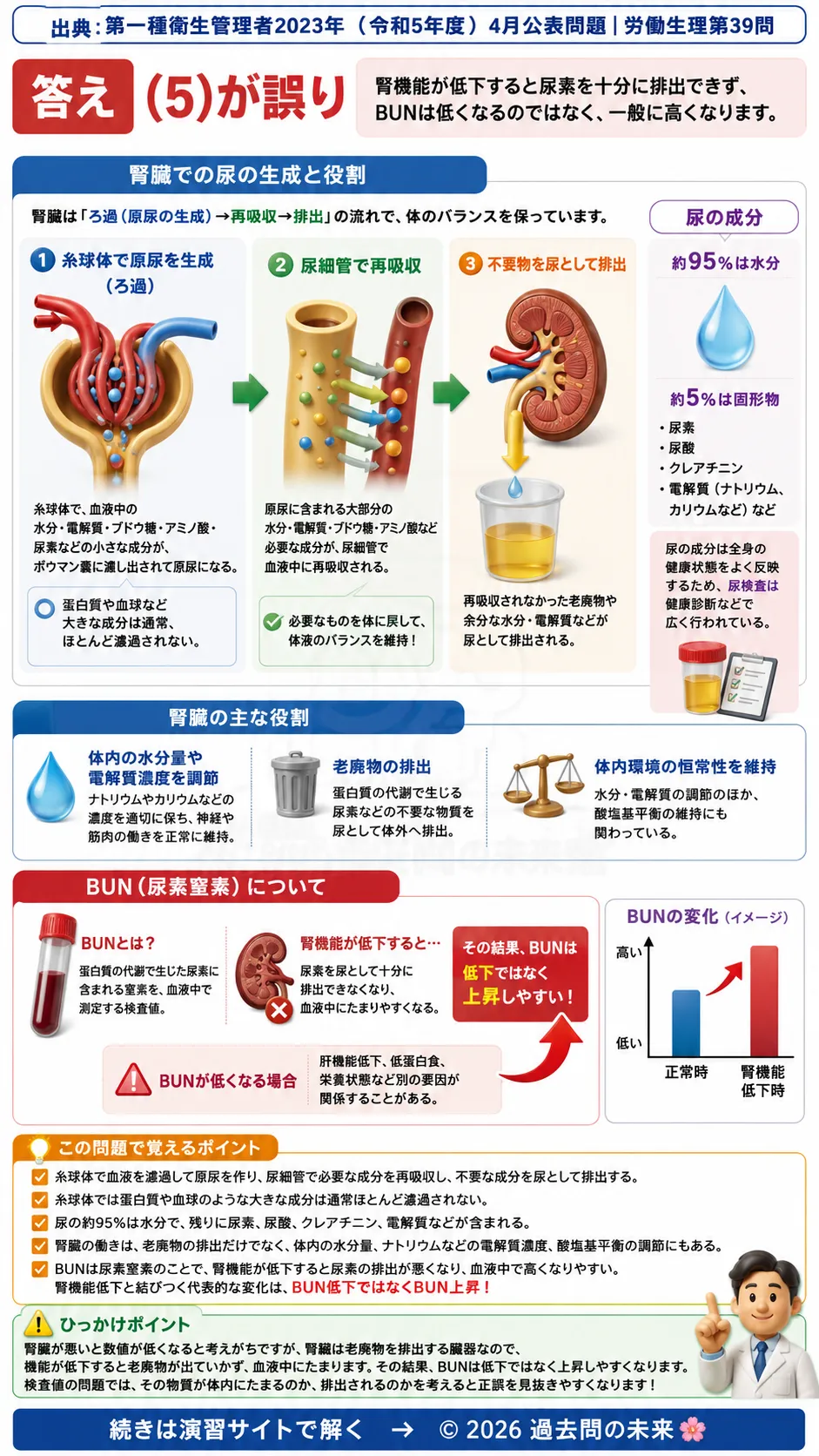 【第一種衛生管理者過去問】2023年4月公表問題｜問39｜腎臓と泌尿器系の構造・尿生成・BUNの基礎知識｜労働生理を解説する画像__1syu-2023-04-seiri-q39