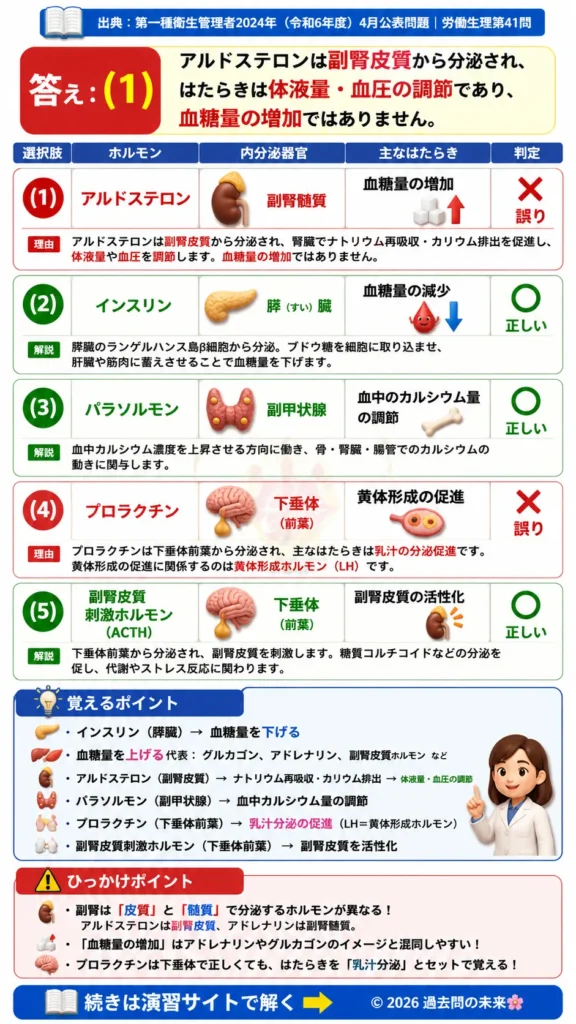 【第一種衛生管理者過去問】2024年4月公表問題｜問41｜ホルモンと内分泌器官の働き一覧｜労働生理を解説する画像__1syu-2024-04-seiri-q41