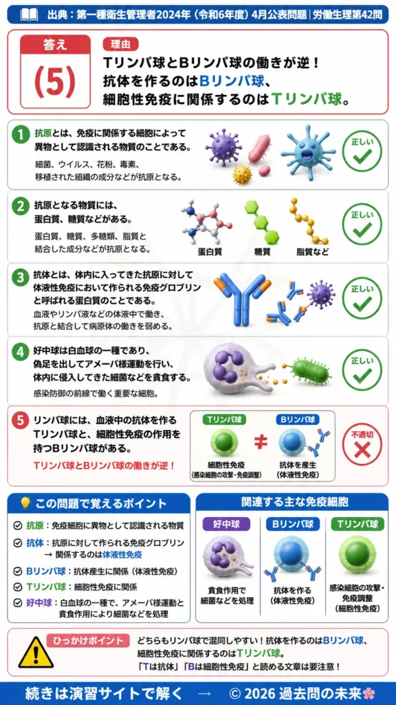 【第一種衛生管理者過去問】2024年4月公表問題｜問42｜免疫の仕組み・抗原抗体反応と白血球の働き｜労働生理を解説する画像__1syu-2024-04-seiri-q42