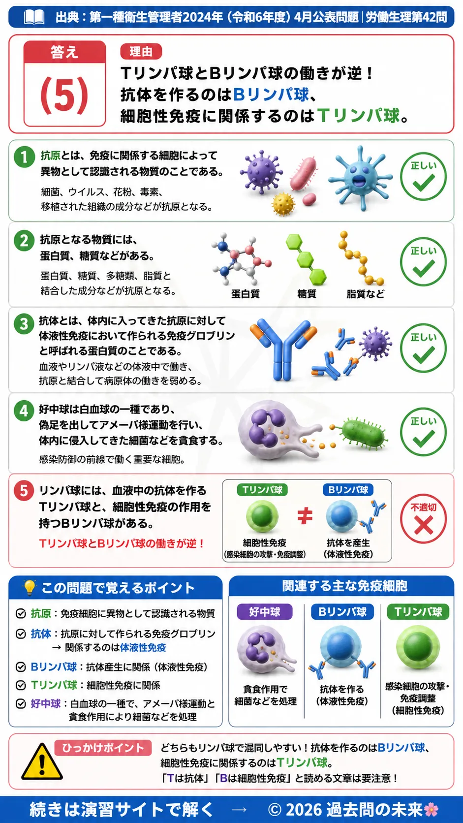 【第一種衛生管理者過去問】2024年4月公表問題｜問42｜免疫の仕組み・抗原抗体反応と白血球の働き｜労働生理を解説する画像__1syu-2024-04-seiri-q42