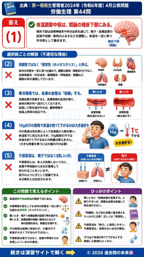 【第一種衛生管理者過去問】2024年4月公表問題｜問44｜体温調節中枢とホメオスタシスの仕組み｜労働生理を解説する画像__1syu-2024-04-seiri-q44