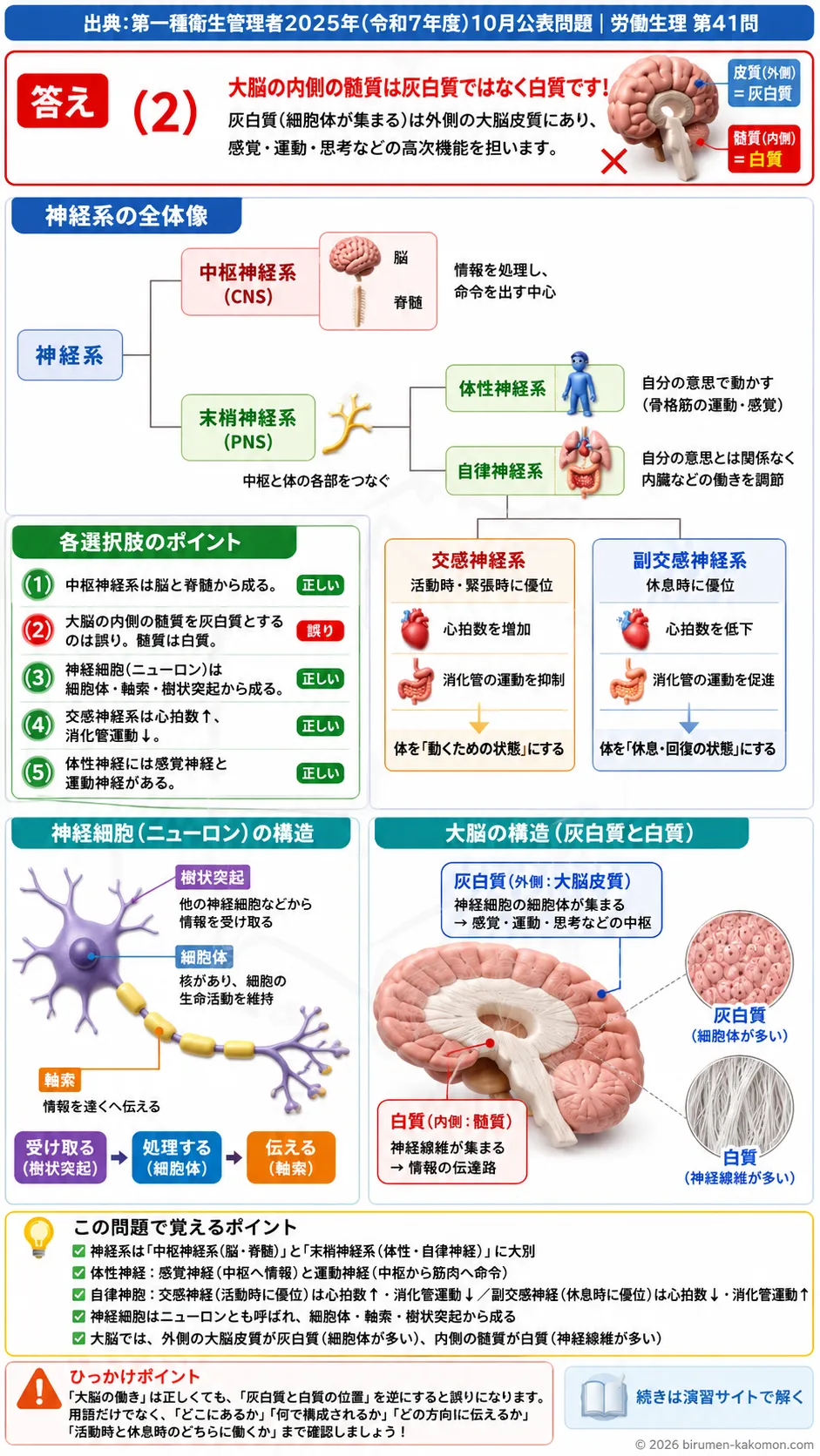 【第一種衛生管理者過去問】2025年10月公表問題｜問41｜神経系の構造と中枢神経・自律神経の働き｜労働生理を解説する画像__1syu-2025-10-seiri-q41
